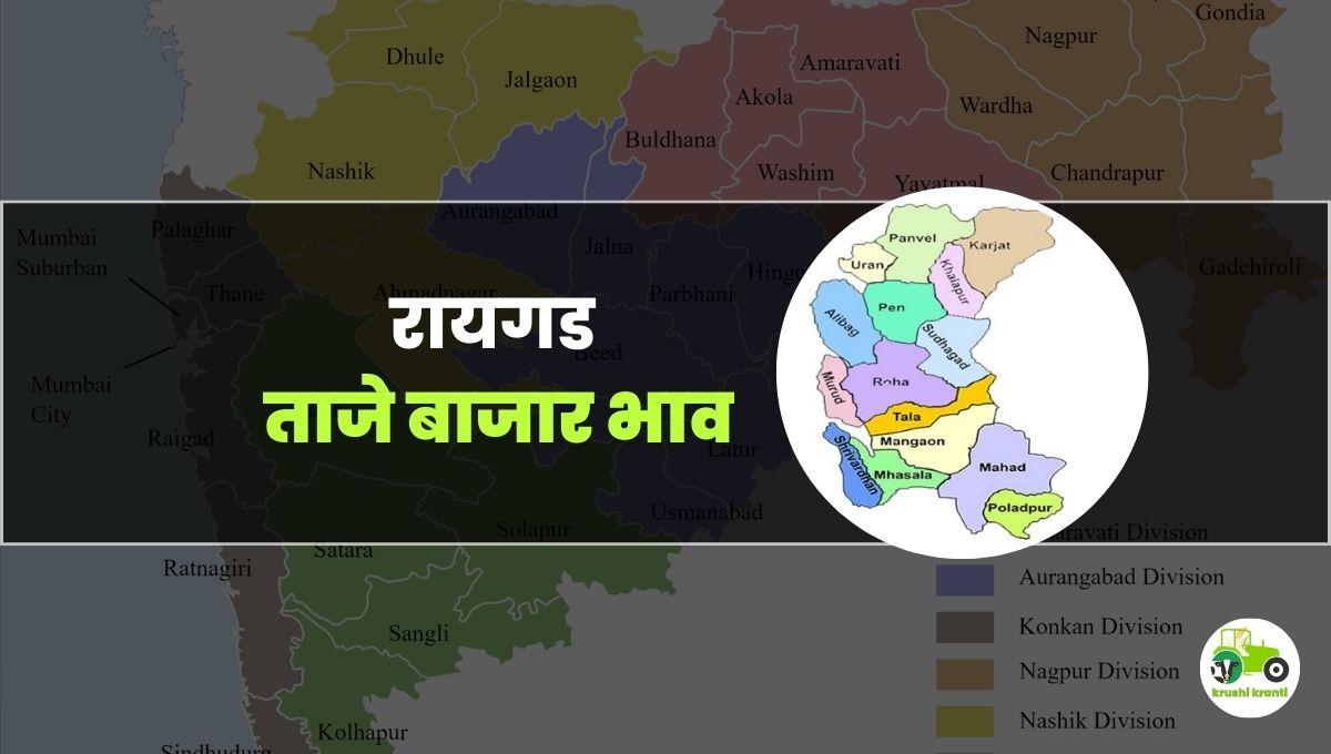 आजचे रायगड बाजारभाव 