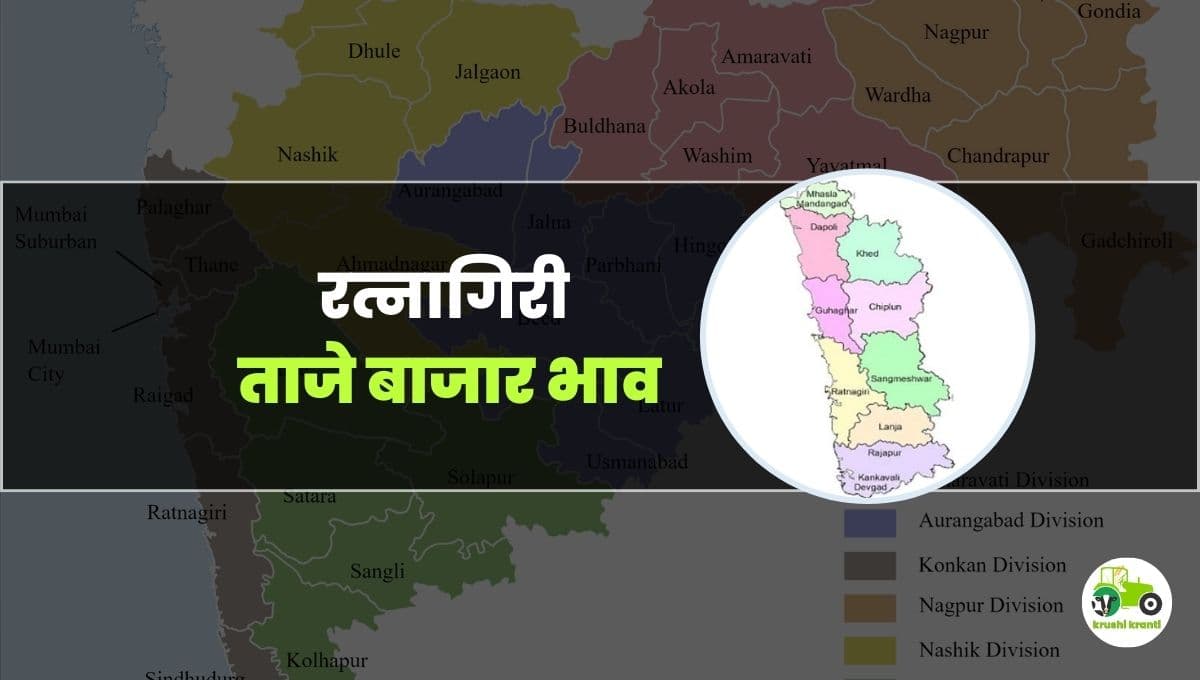 आजचे रत्नागिरी बाजारभाव