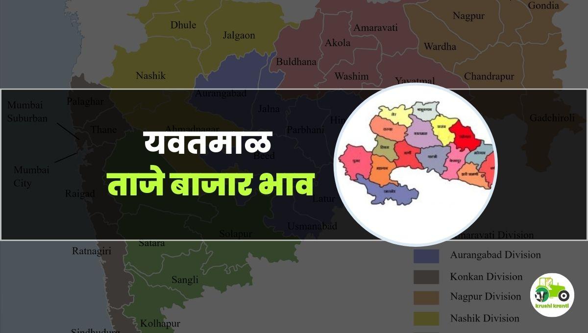 आजचे यवतमाळ बाजारभाव 