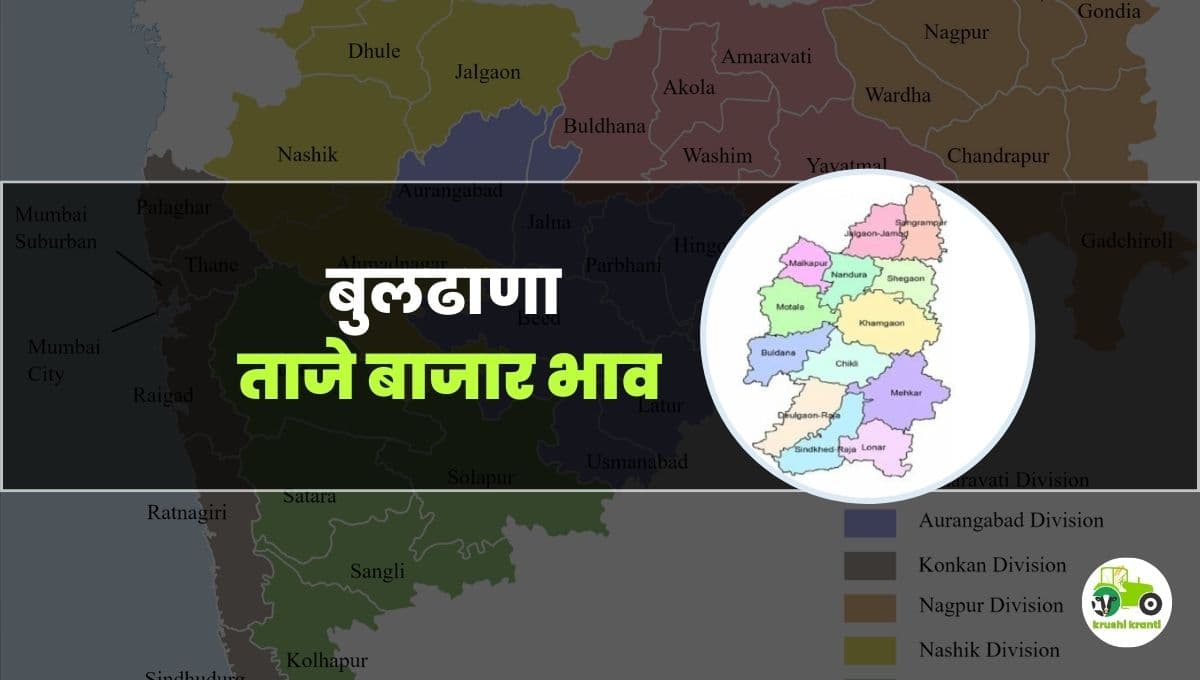 आजचे बुलढाणा बाजारभाव