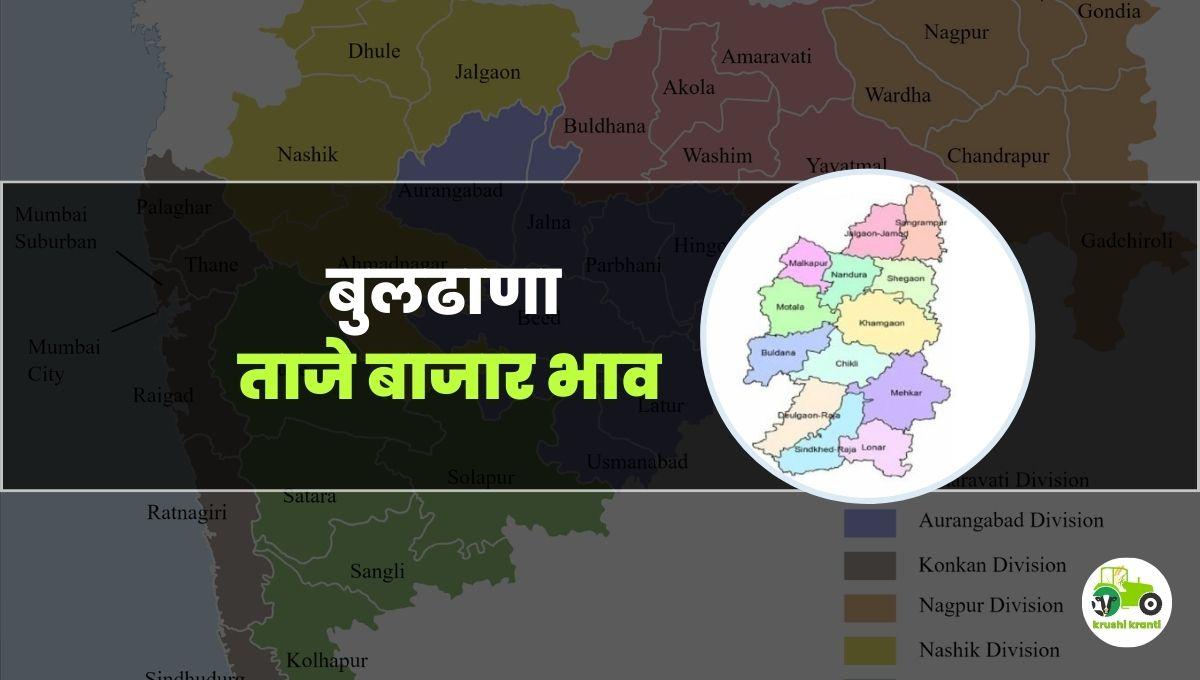 आजचे बुलढाणा बाजारभाव 