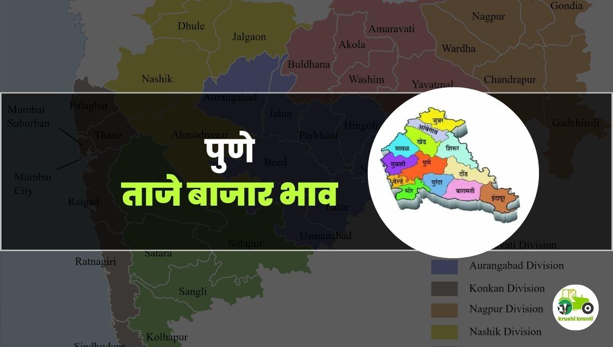 आजचे पुणे बाजारभाव 