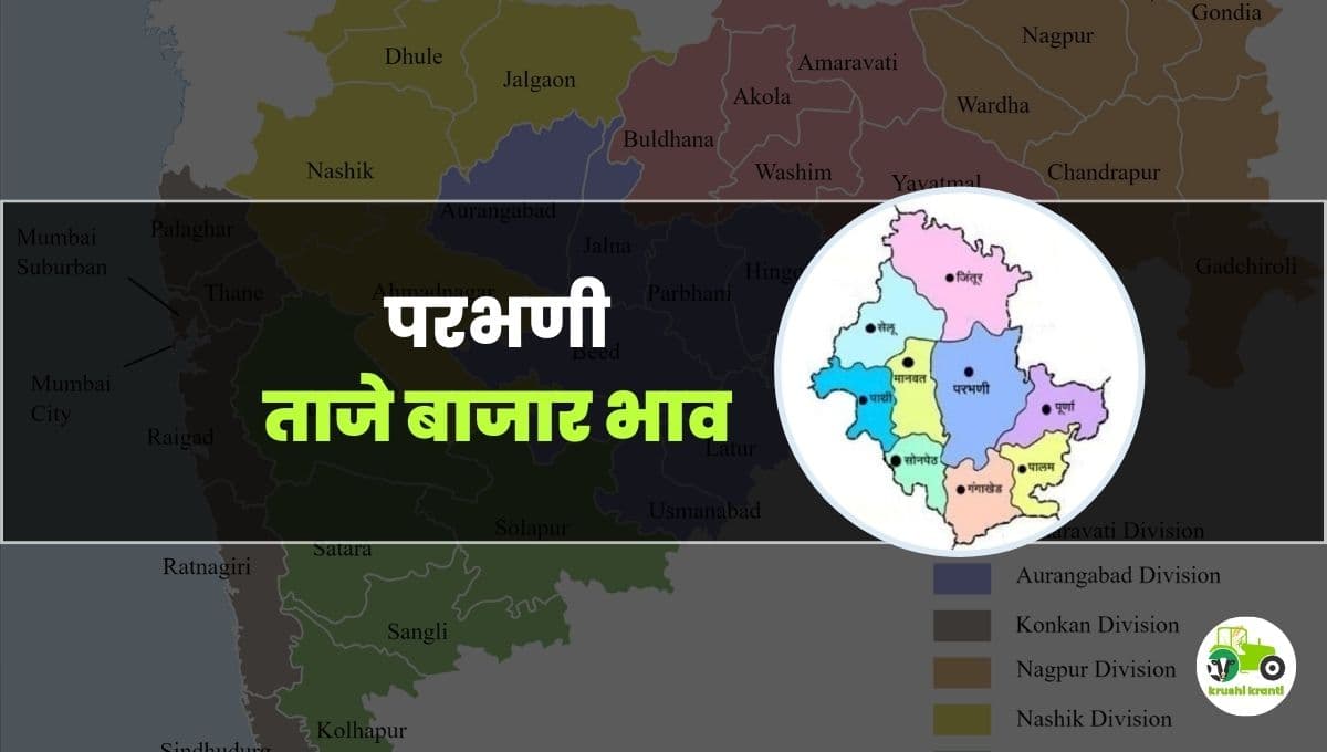 आजचे परभणी बाजारभाव 