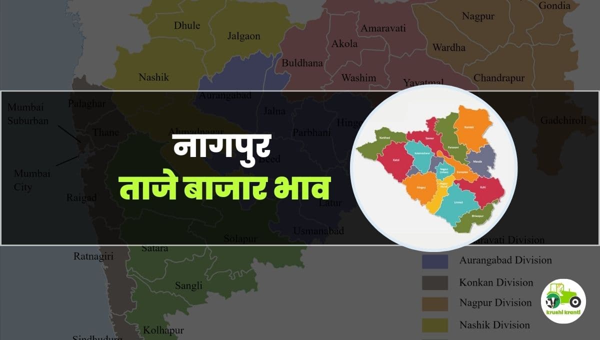 आजचे नागपूर बाजारभाव 