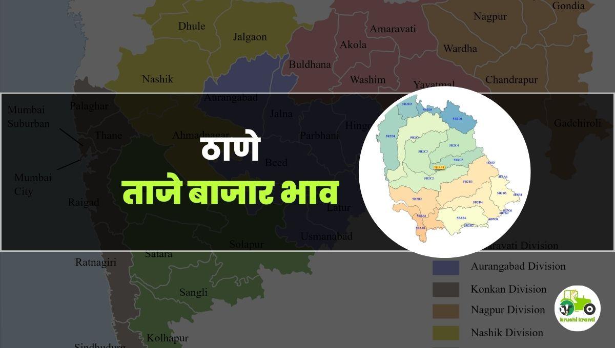 आजचे ठाणे बाजारभाव 