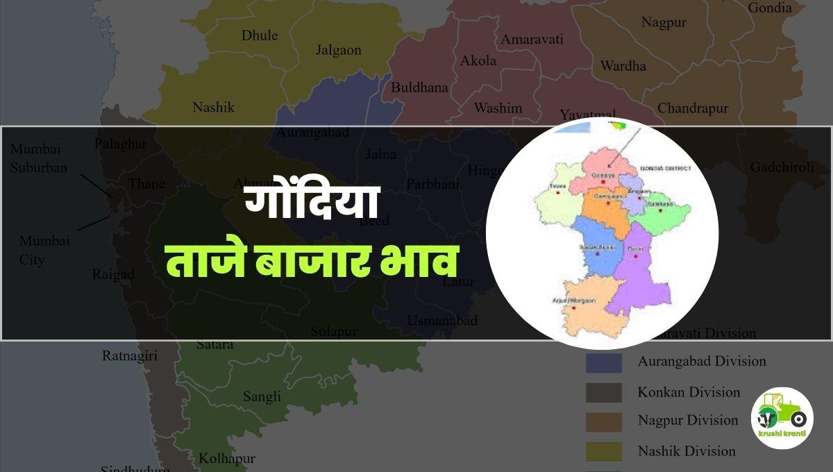  आजचे गोंदिया बाजारभाव 