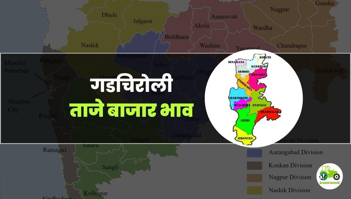 आजचे गडचिरोली बाजारभाव 