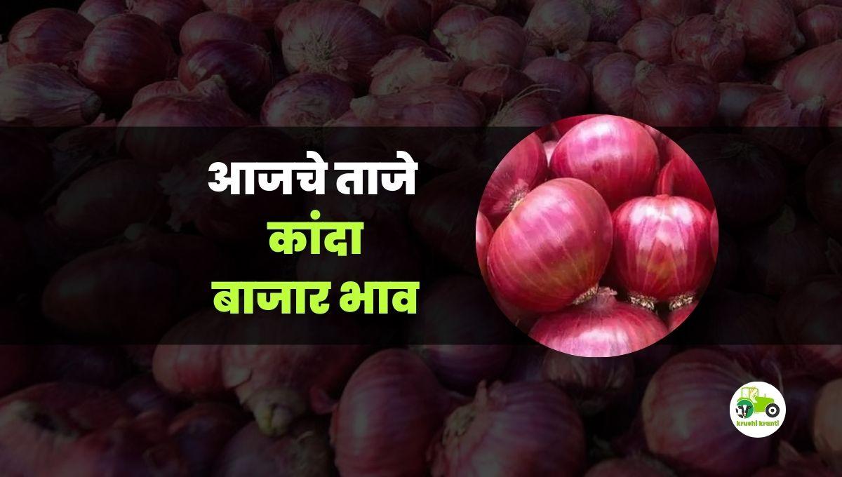  आजचे कांदा बाजारभाव