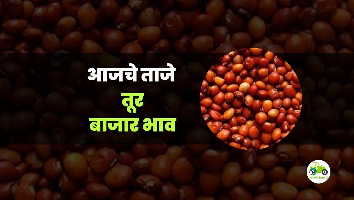 आजचे तूर बाजारभाव