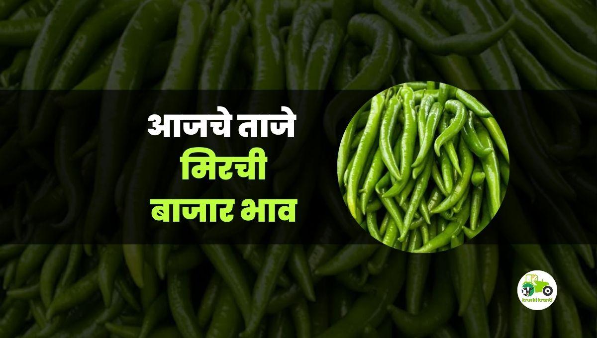 आजचे मिरची बाजारभाव