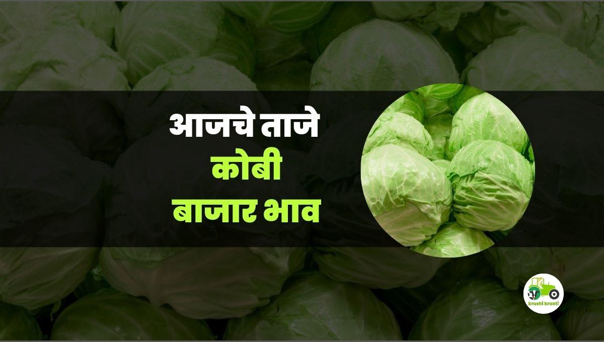 आजचे कोबी बाजारभाव