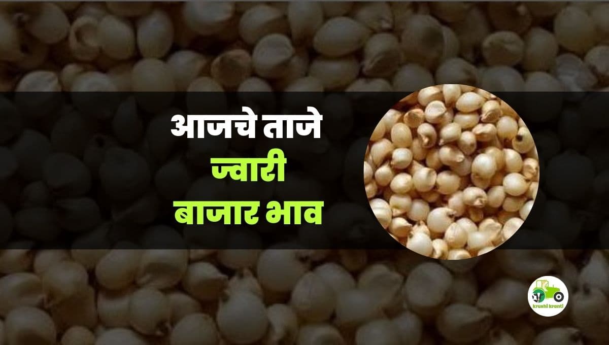 आजचे ज्वारी बाजारभाव