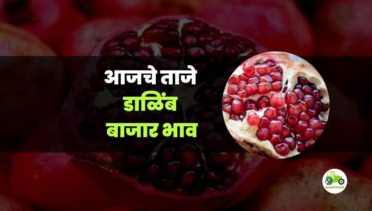 आजचे डाळिंब बाजारभाव