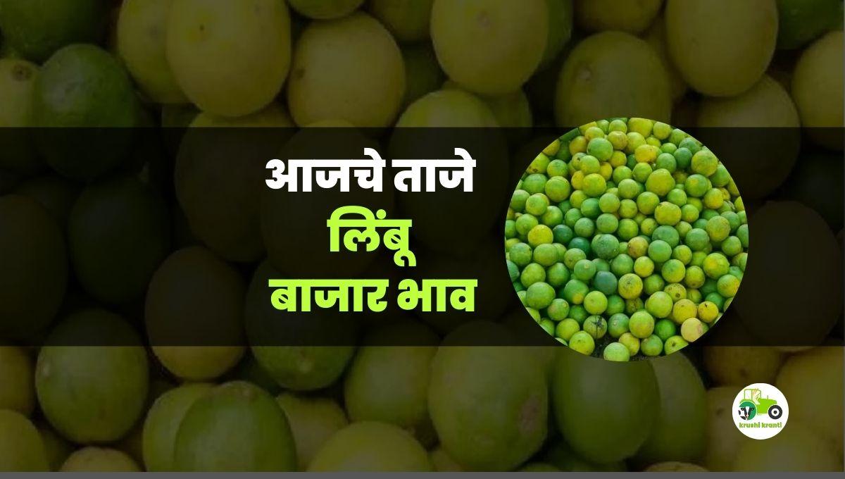 आजचे लिंबू बाजारभाव
