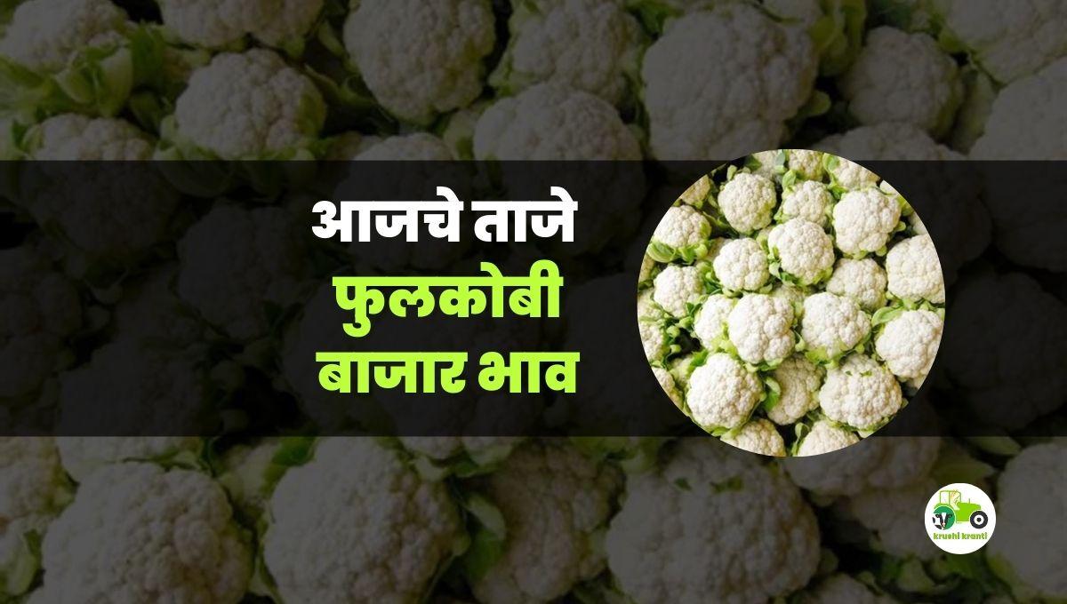 आजचे फुलकोबी बाजारभाव