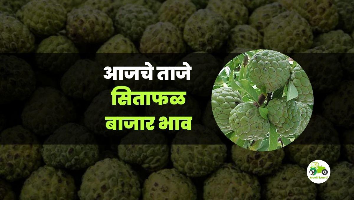 आजचे सीताफळ बाजारभाव