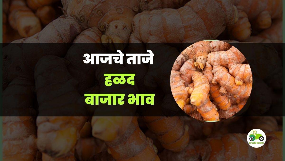 आजचे हळद बाजारभाव