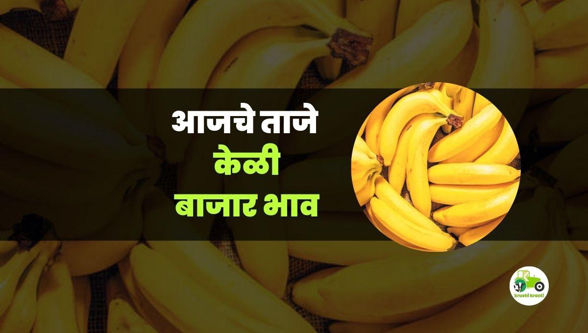 आजचे केळी बाजारभाव