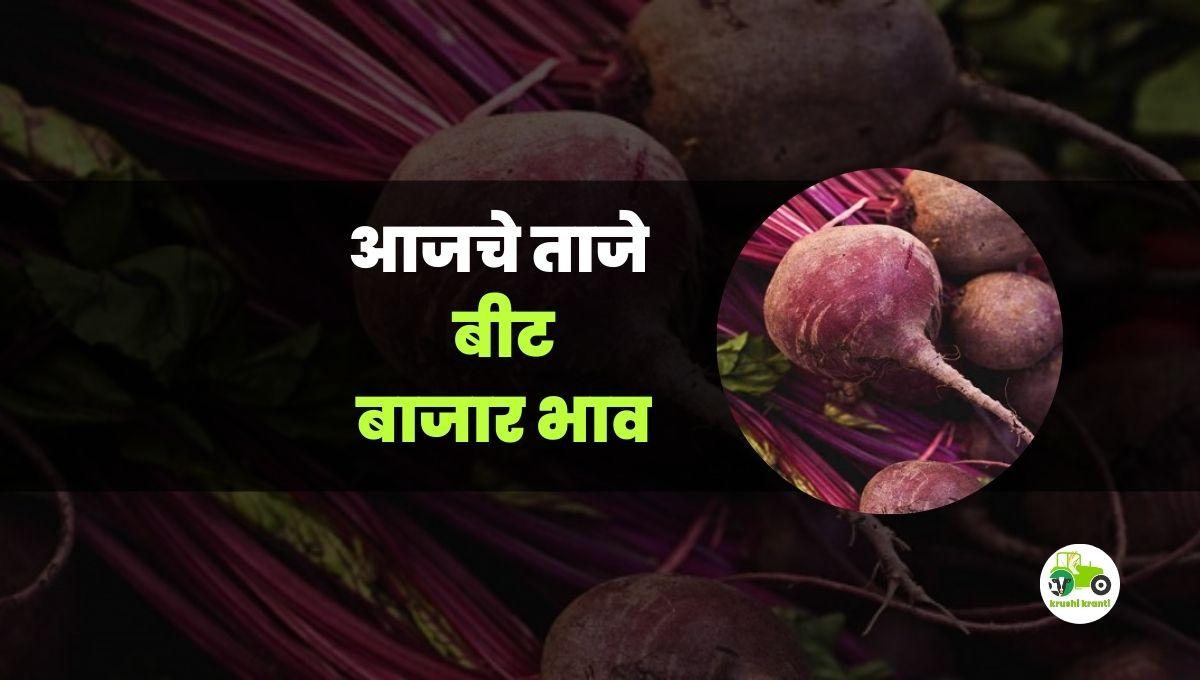 आजचे बिट बाजारभाव