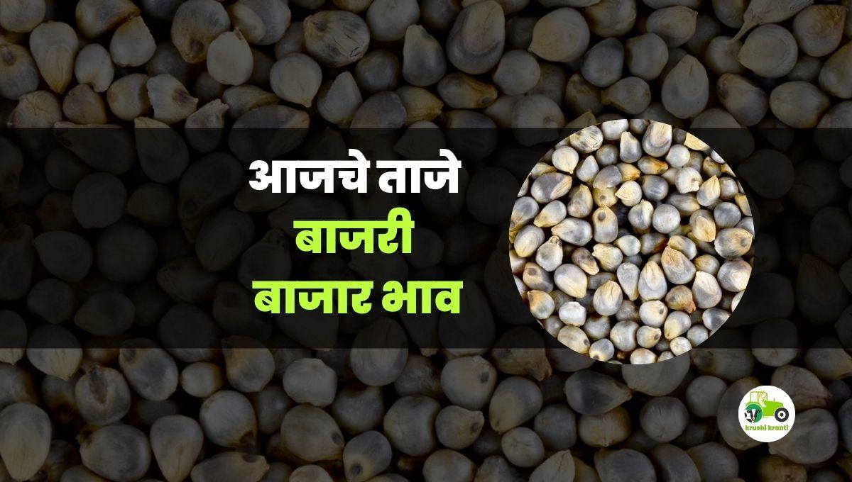 आजचे बाजरी बाजारभाव