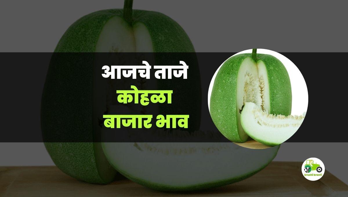 आजचे कोहळा बाजारभाव