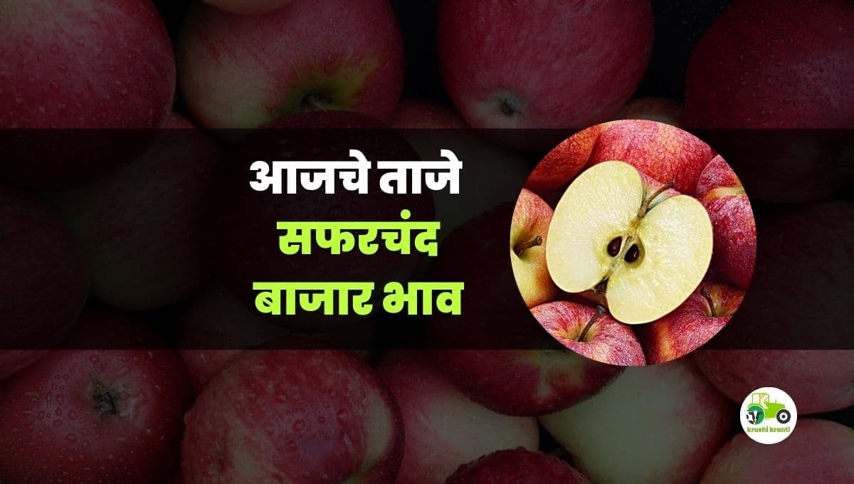 आजचे सफरचंद बाजारभाव