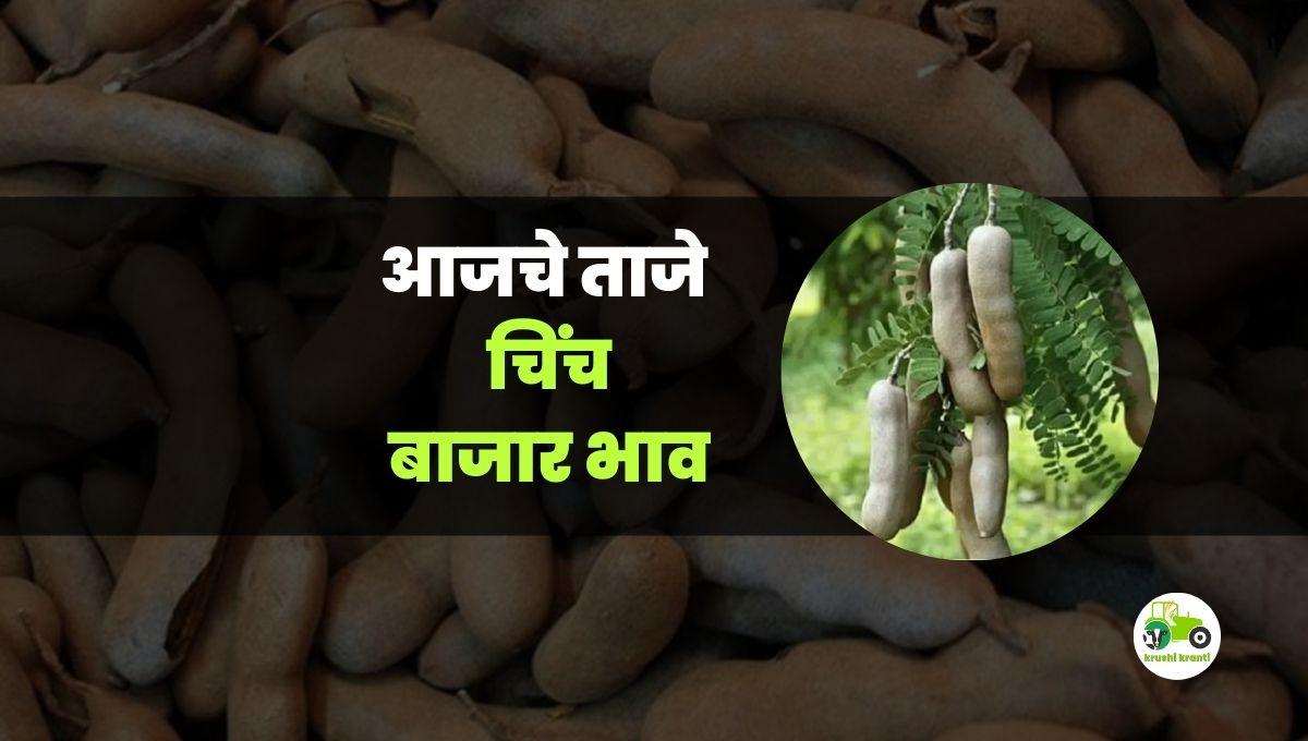 आजचे चिंच बाजारभाव