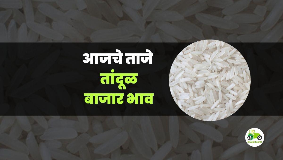 आजचे तांदूळ बाजारभाव