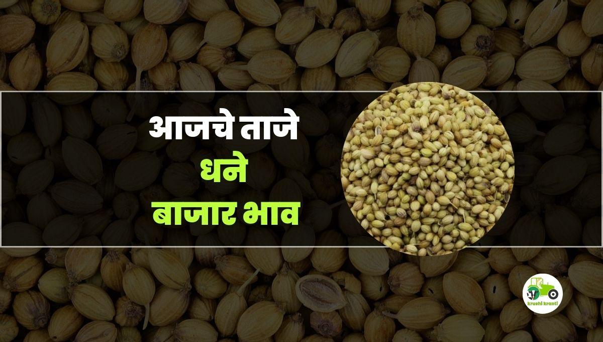 आजचे धने बाजारभाव