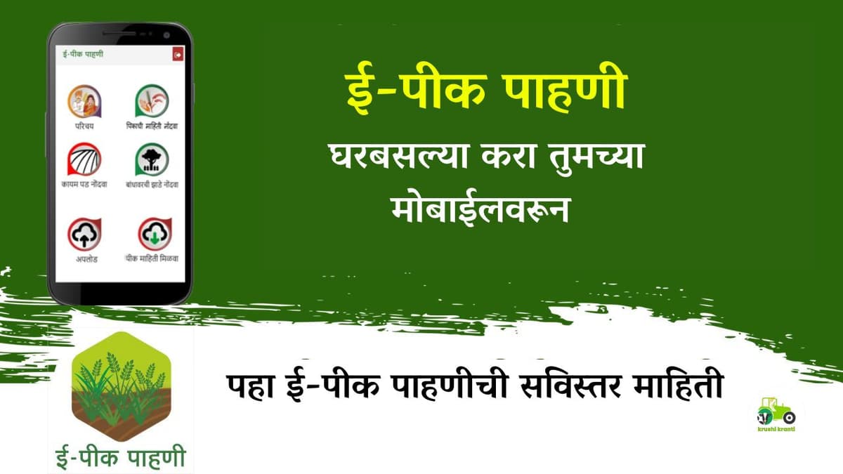 E-Pik Pahani : ऑनलाईन ई-पीक पाहणी घरबसल्या करा तुमच्या मोबाईलवरून