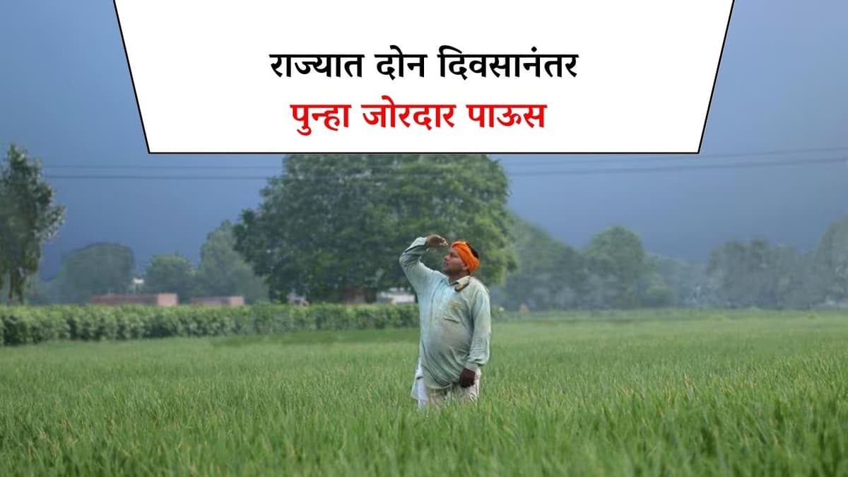 Heavy rain : राज्यात दोन दिवसानंतर पुन्हा जोरदार पाऊस