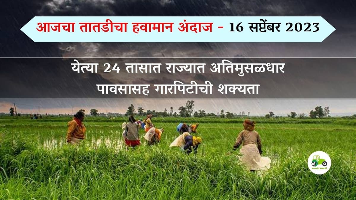 Urgent andaj : आजचा तातडीचा हवामान अंदाज - 16 सप्टेंबर 2023