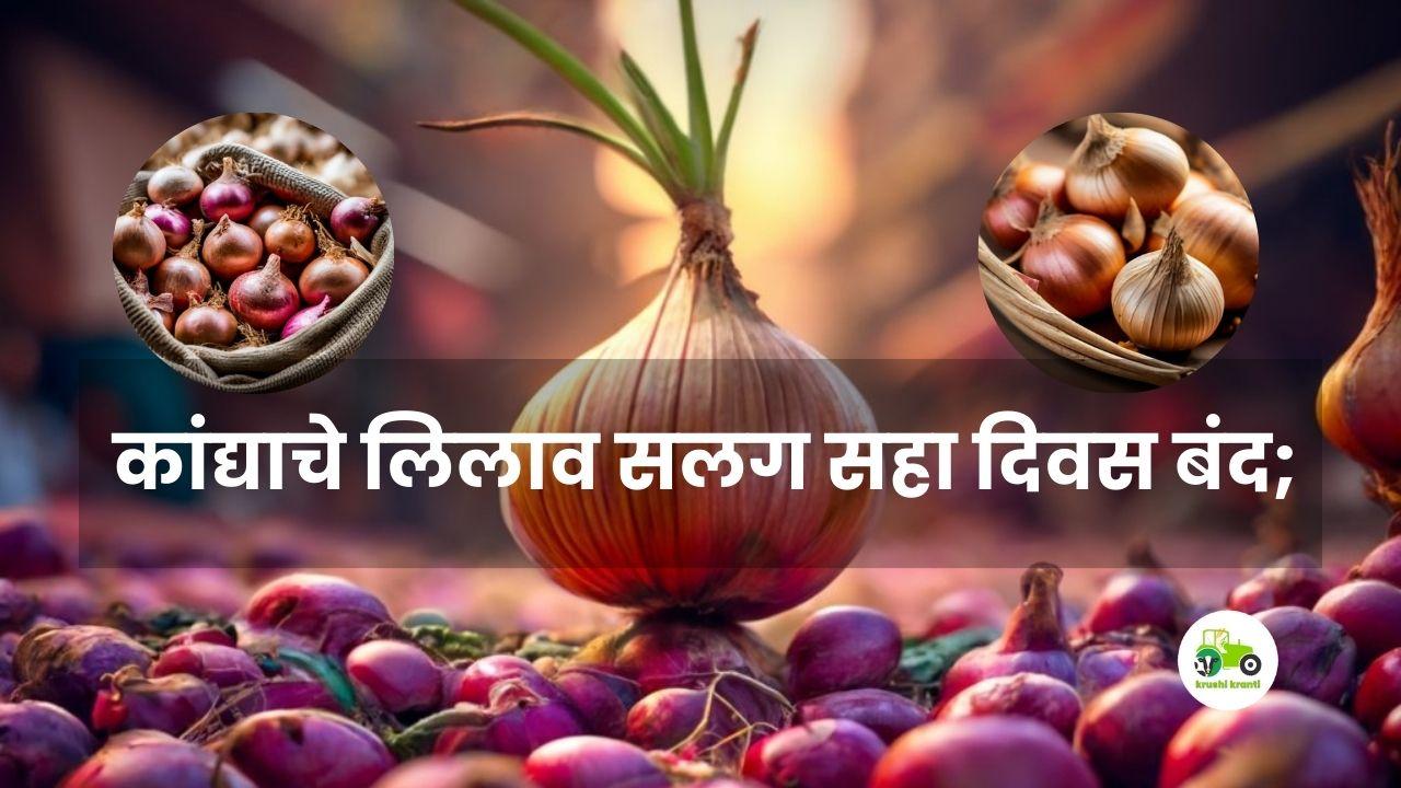 Onion Market : कांद्याचे लिलाव सलग सहा दिवस बंद;