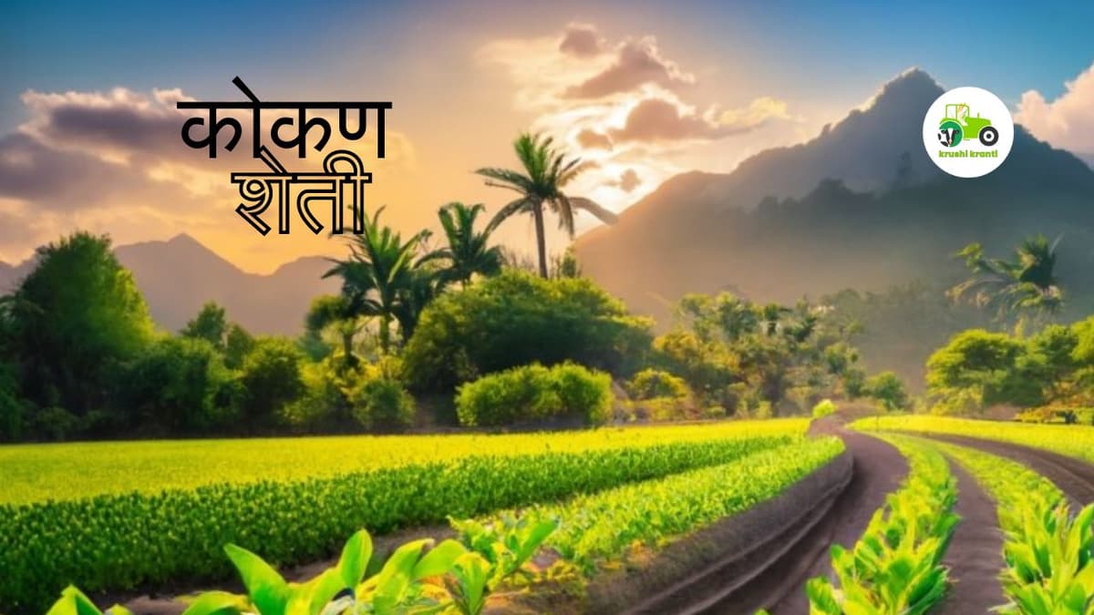 कोकणात होणाऱ्या शेती विषयी संपूर्ण माहिती.