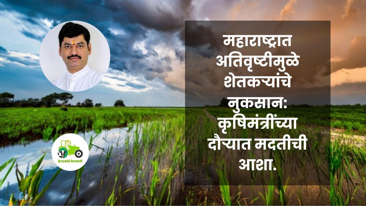 महाराष्ट्रात अतिवृष्टीमुळे शेतकऱ्यांचे नुकसान: कृषिमंत्रींच्या दौऱ्यात मदतीची आशा