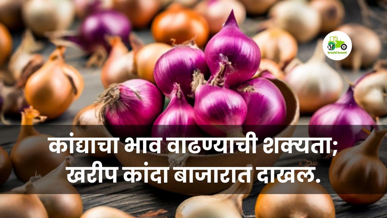 Onion Market :कांद्याचा भाव वाढण्याची शक्यता; खरीप कांदा बाजारात दाखल.