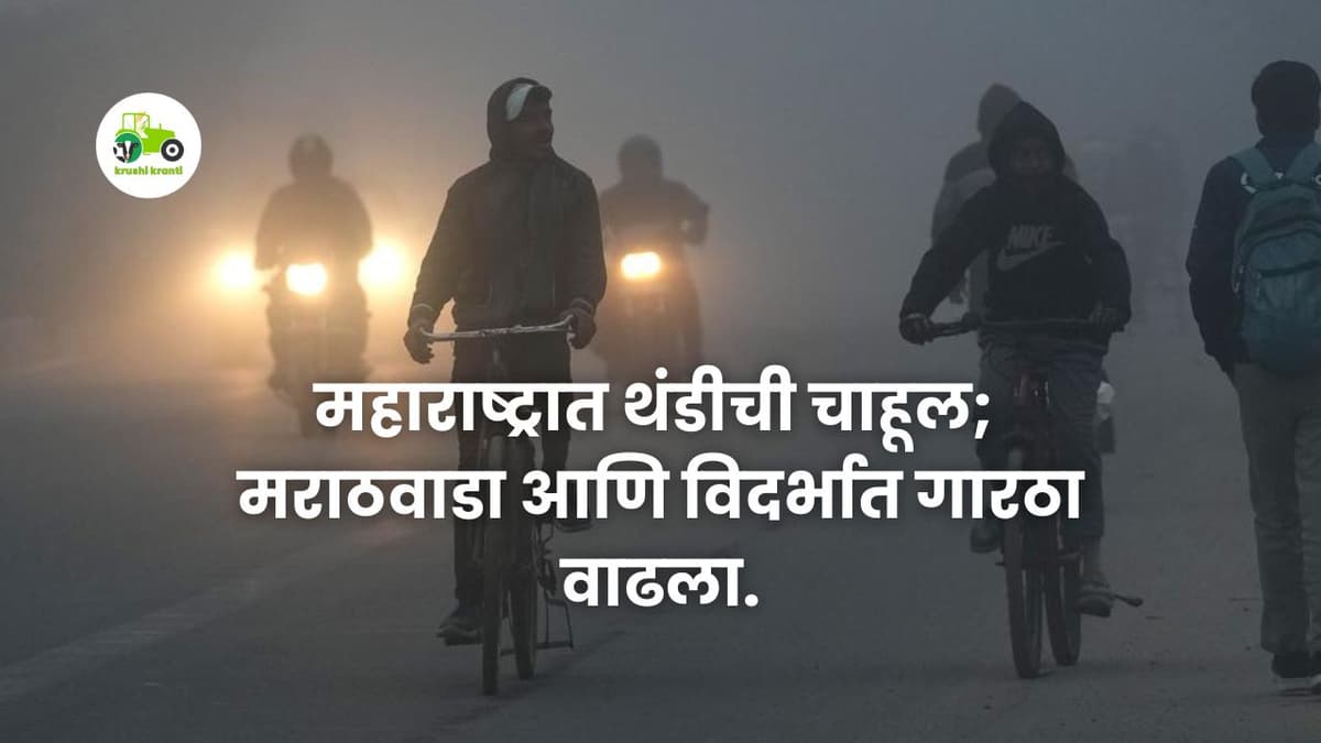Weather News: महाराष्ट्रात थंडीची चाहूल; मराठवाडा आणि विदर्भात गारठा वाढला.