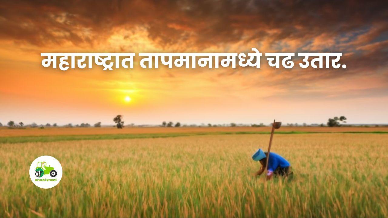 Maharashtra Weather Forecast: महाराष्ट्रात तापमानामध्ये चढ  उतार. 