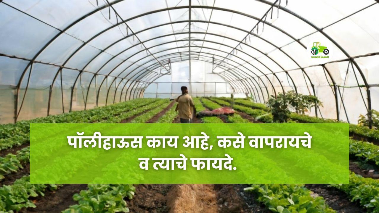 पॉलीहाऊस काय आहे, कसे वापरायचे व त्याचे फायदे.  