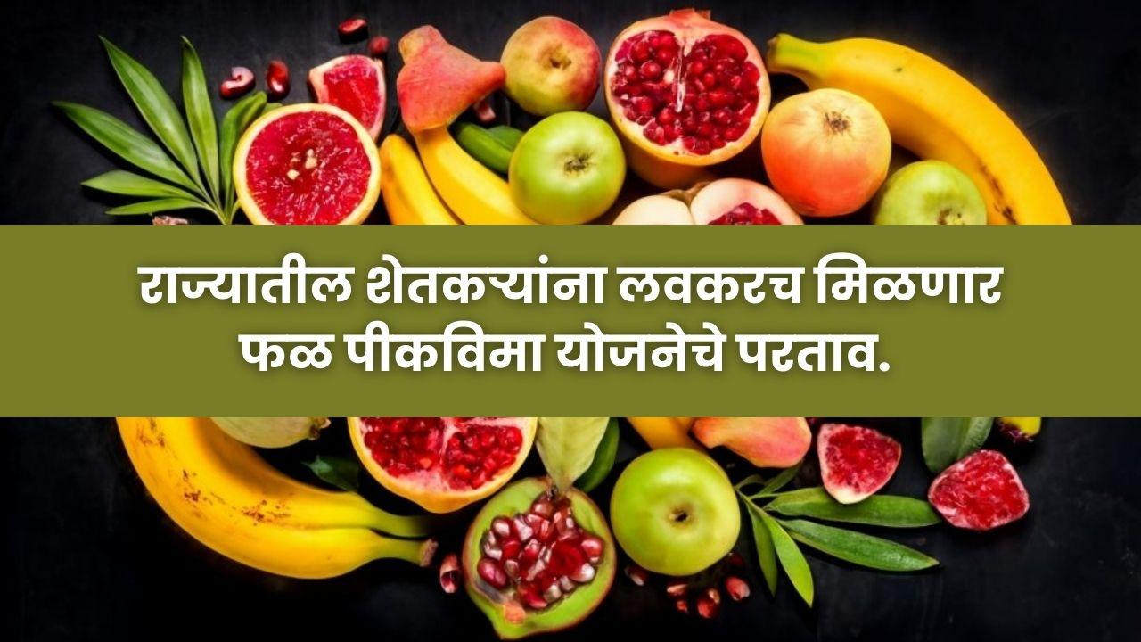 Fruit Crop Insurance : राज्यातील शेतकऱ्यांना लवकरच मिळणार फळ पीकविमा योजनेचे परताव.  