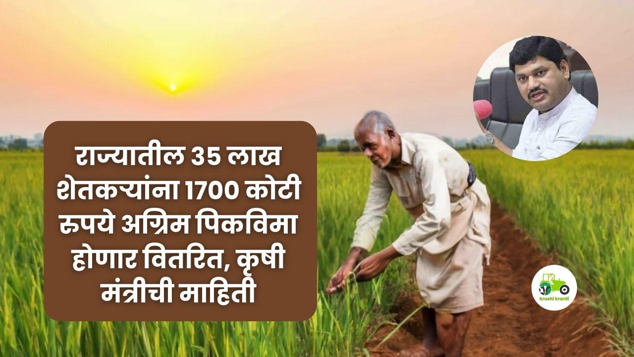 Crop Insurance Farmer : राज्यातील ३५ लाख शेतकऱ्यांना १७०० कोटी रुपये अग्रिम पिकविमा होणार वितरित, कृषी मंत्रीची माहिती