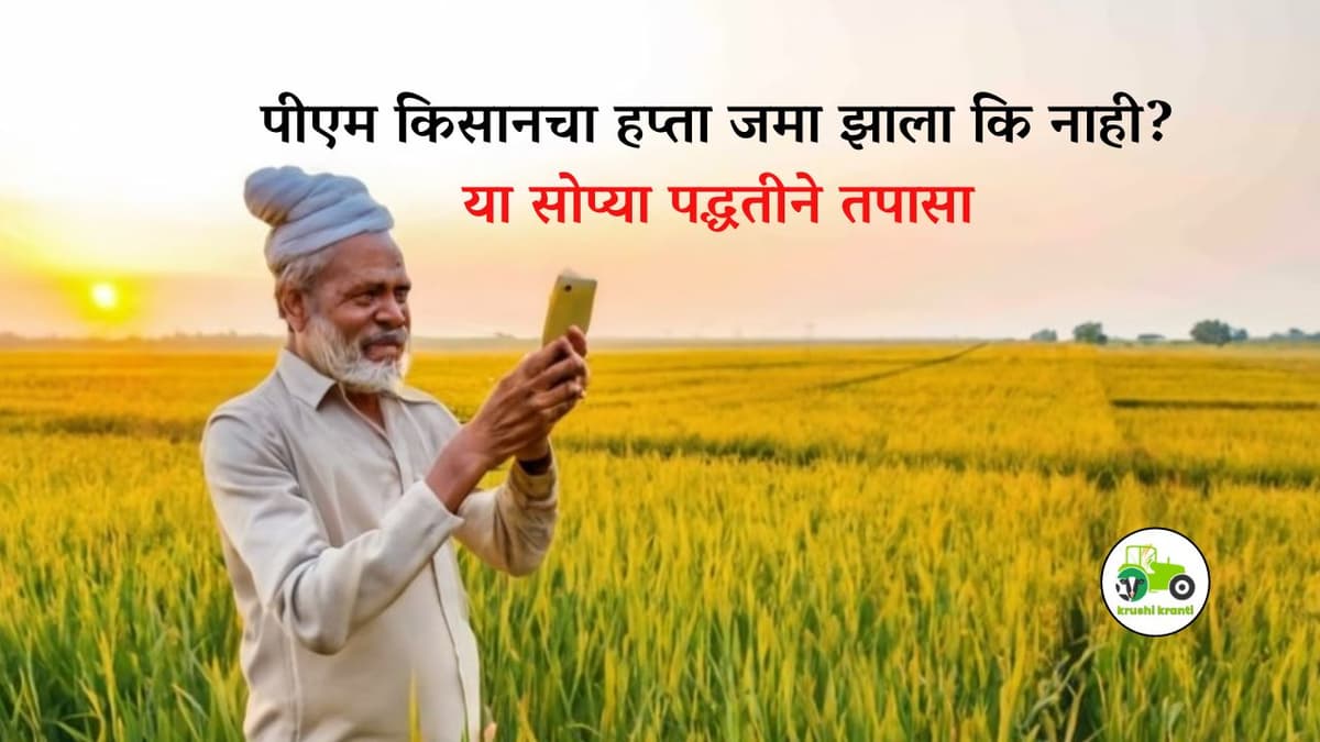 PM Kisan : पीएम किसानचा हप्ता जमा झाला कि नाही? या सोप्या पद्धतीने तपासा