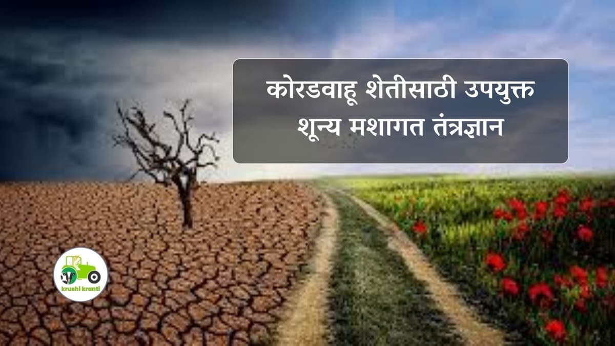 कोरडवाहू शेतीसाठी उपयुक्त शून्य मशागत तंत्रज्ञान