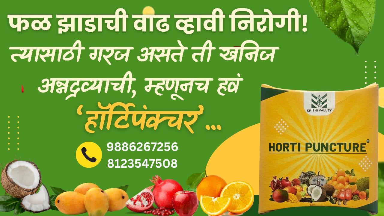 हॉर्टिपंक्चर