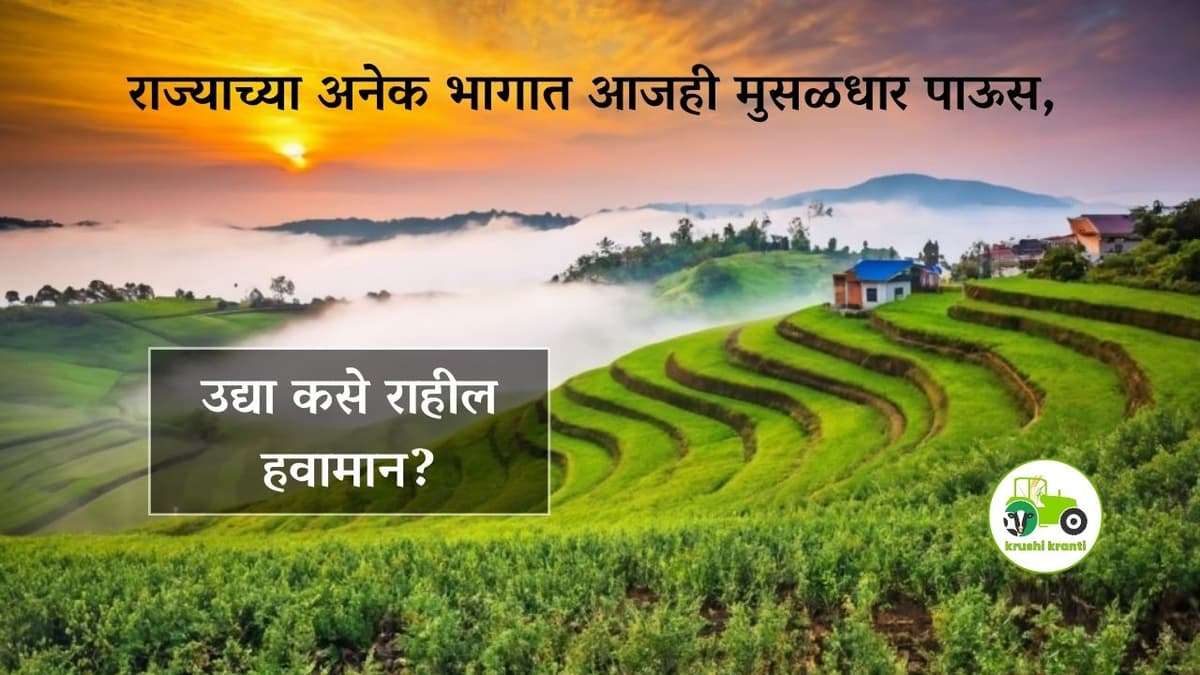 Weather update : राज्याच्या अनेक भागात आजही मुसळधार पाऊस, उद्या कसे राहील हवामान?