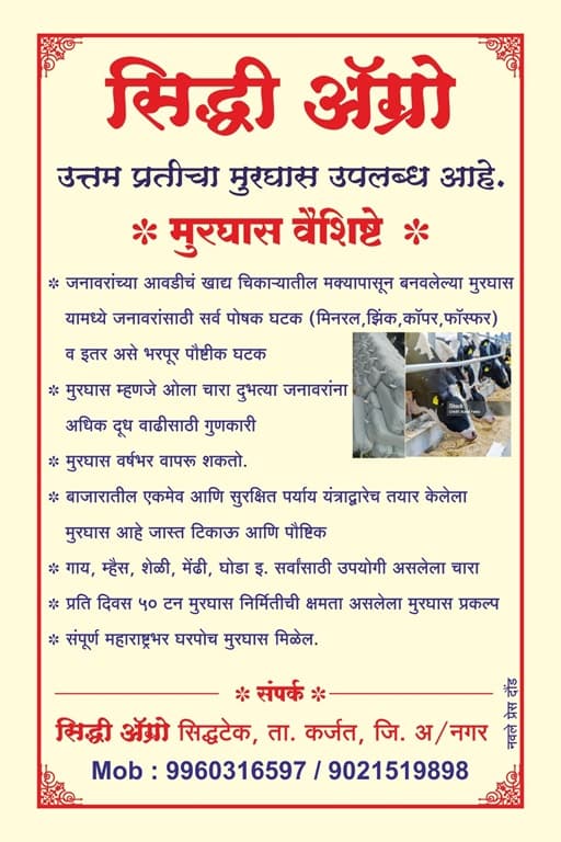 सिद्धी अग्रो मूरघास प्रकल्प