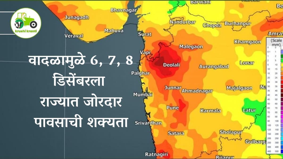 Weather Update : 6, 7, 8 डिसेंबरला राज्यात जोरदार पावसाची शक्यता