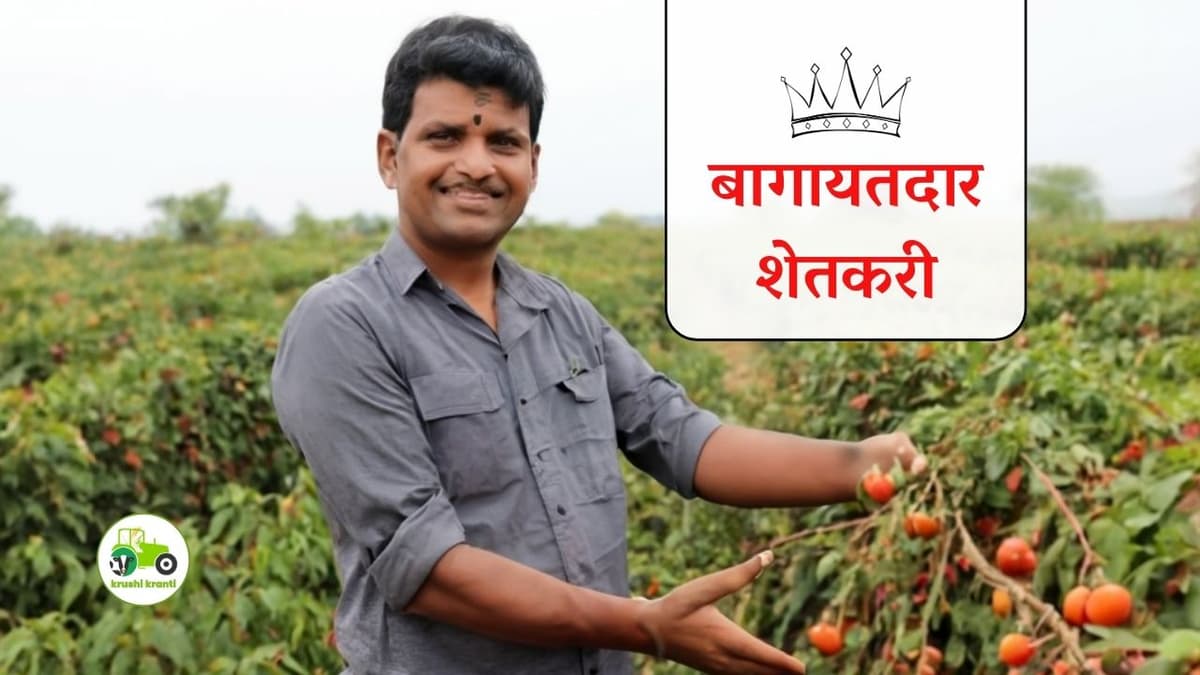 बागायतदार शेतकरी