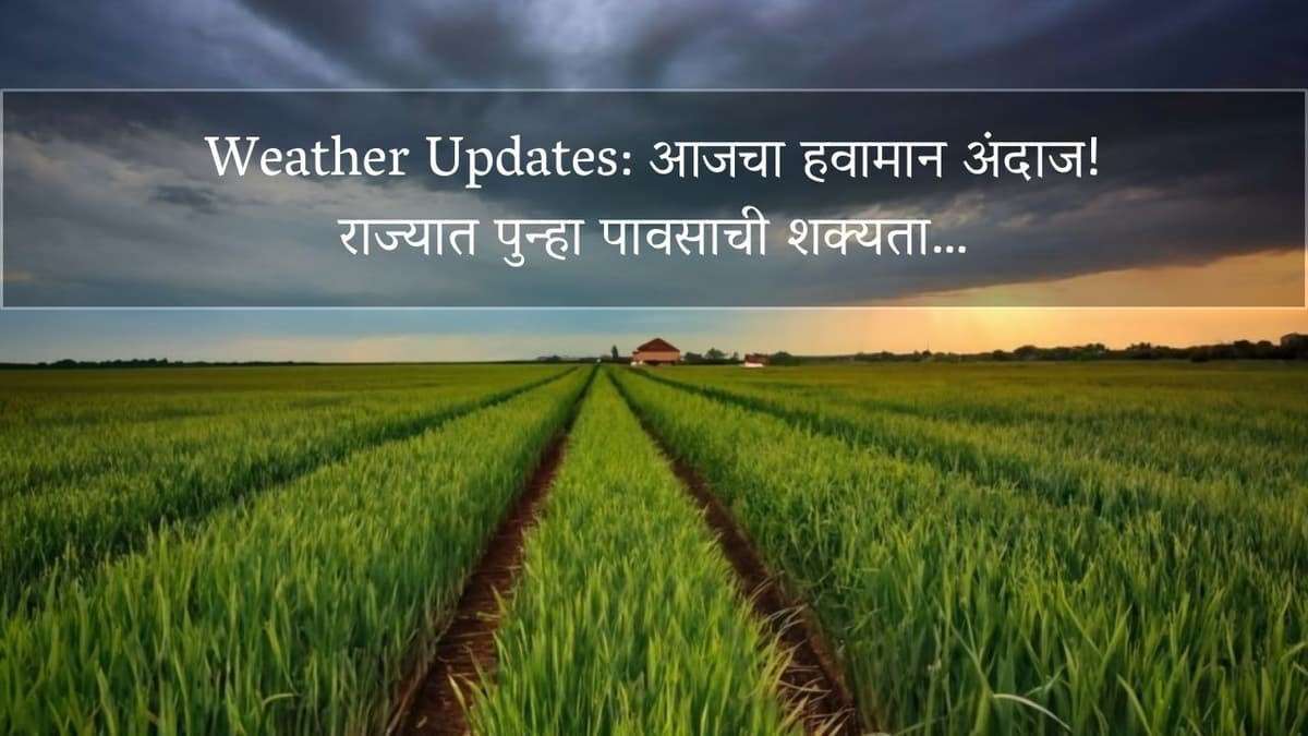 Weather Updates: आजचा हवामान अंदाज! राज्यात पुन्हा पावसाची शक्यता…
