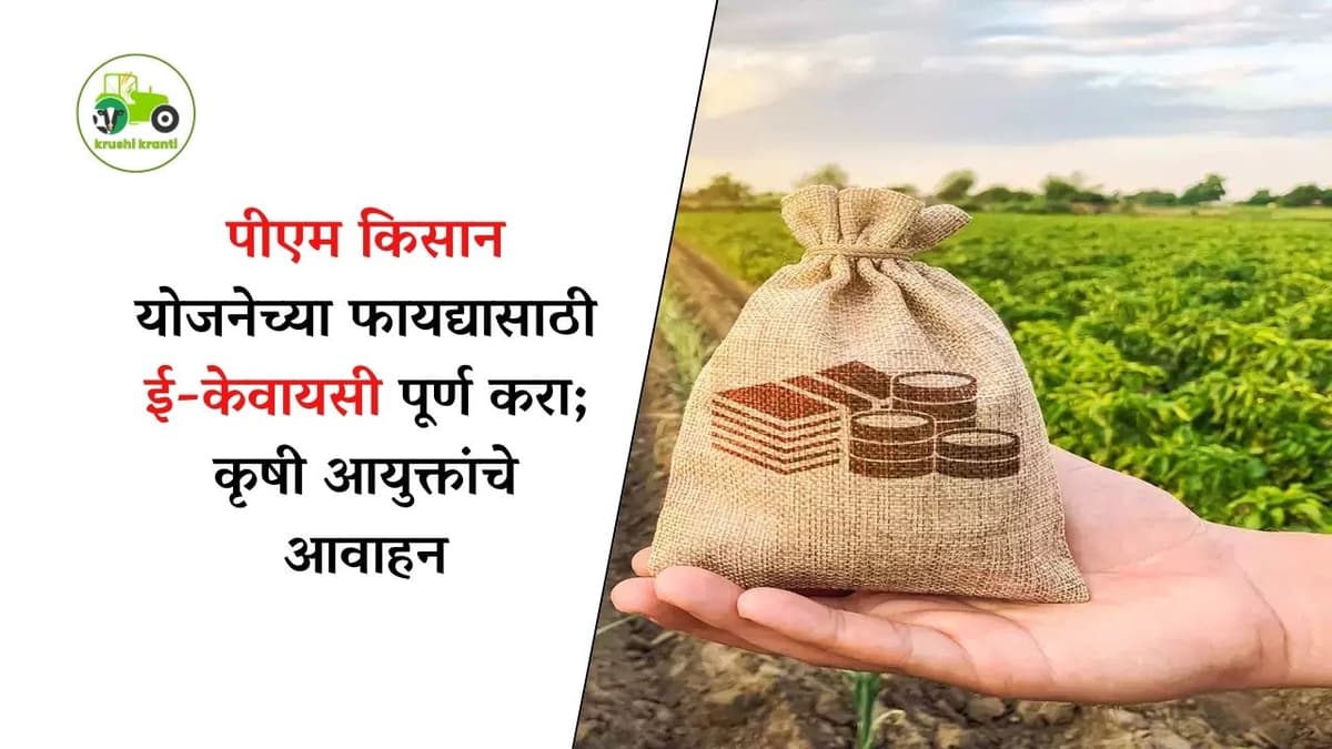 पीएम किसान योजनेच्या फायद्यासाठी ई-केवायसी पूर्ण करा; कृषी आयुक्तांचे आवाहन